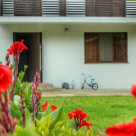 Guest House Sirius Pițunda Exterior foto