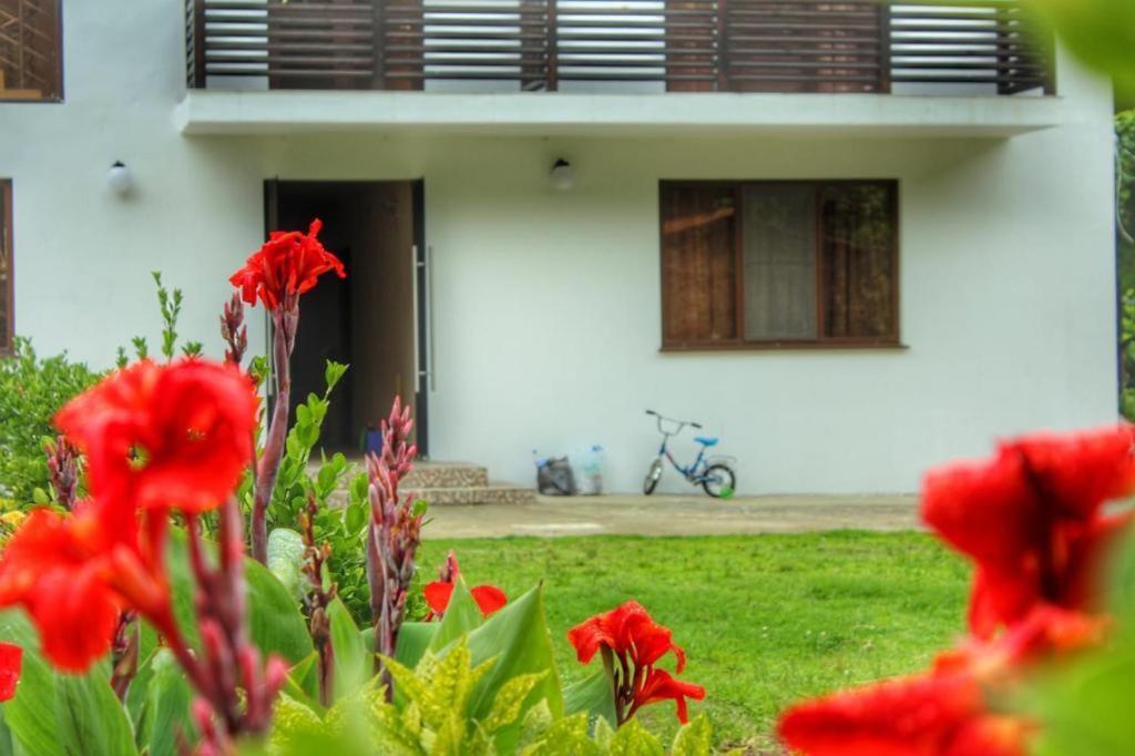 Guest House Sirius Pițunda Exterior foto
